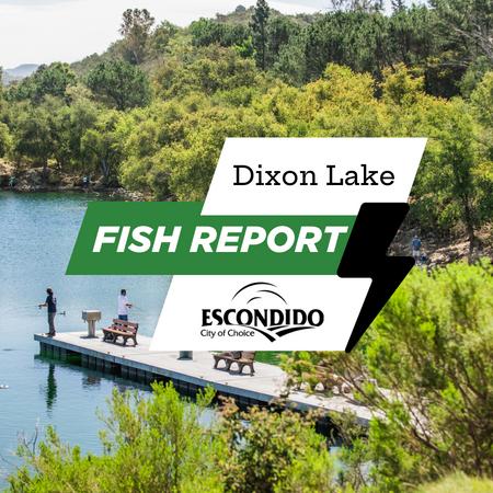 Dixon Lake Fish Report