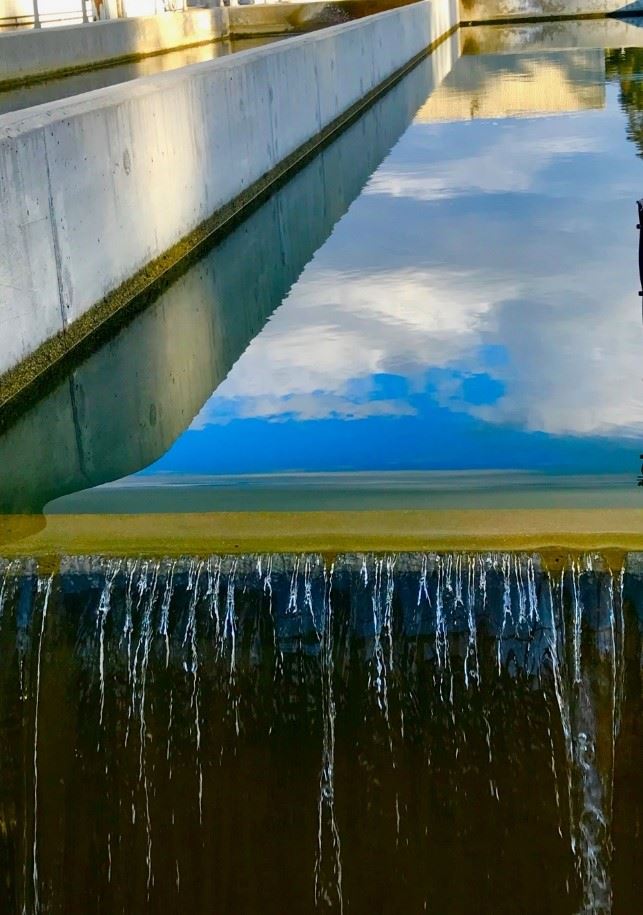 HARRF - Water Being Processed